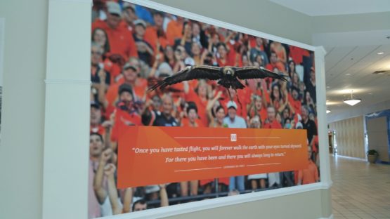 Auburn Mall Wall Design